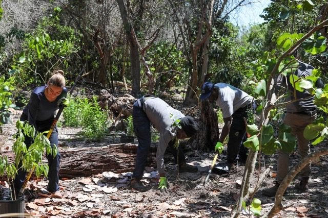 Elevate Prize winner leads climate action in Miami, empowering communities to confront rising seas and environmental injustice.